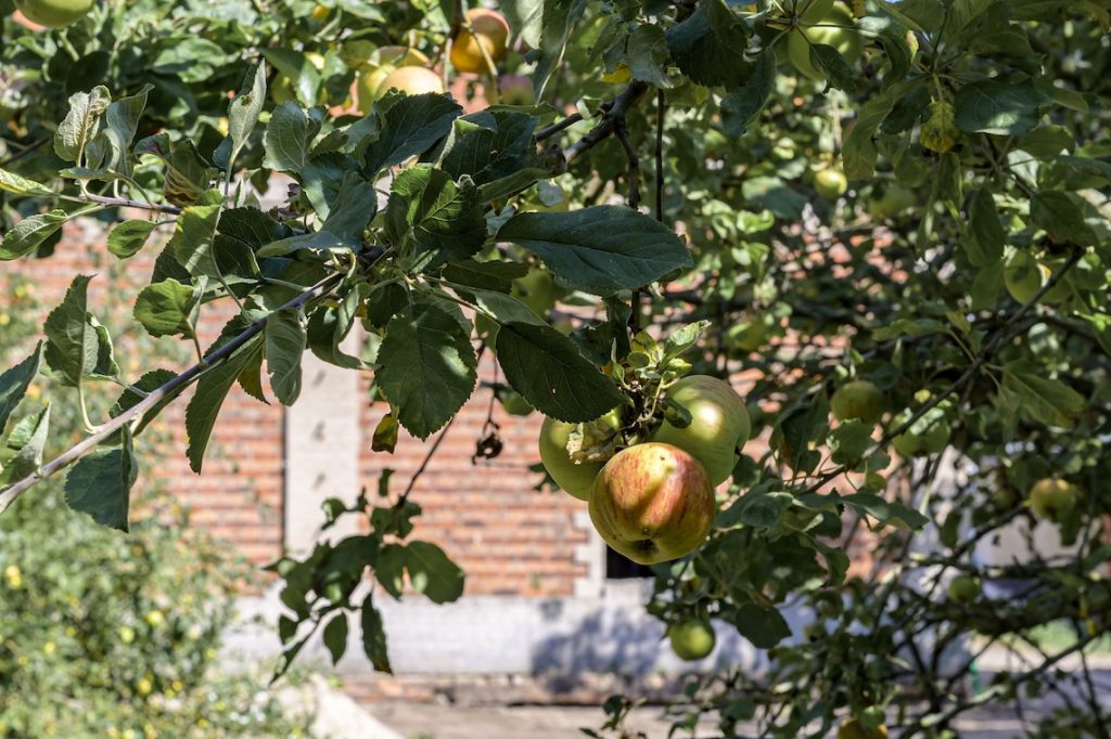 Impressionen vom aktuellen Baustand Ende August 2025