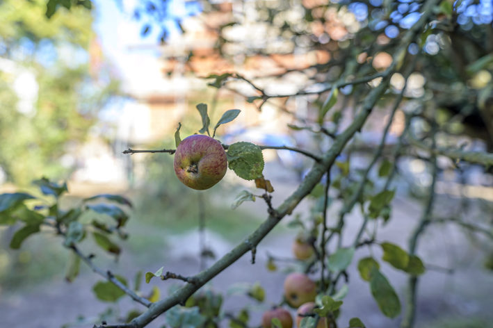 Schulzes Scheune im Oktober